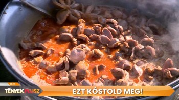 Zúzafesztivál